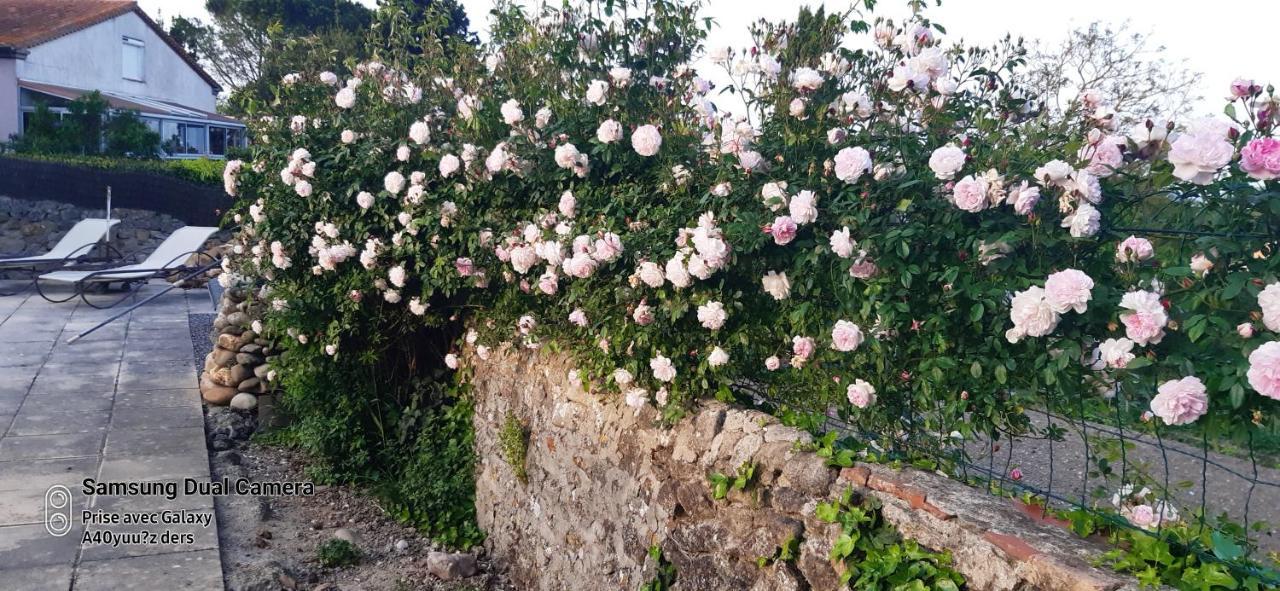 La Medeenne Alairac Zewnętrze zdjęcie